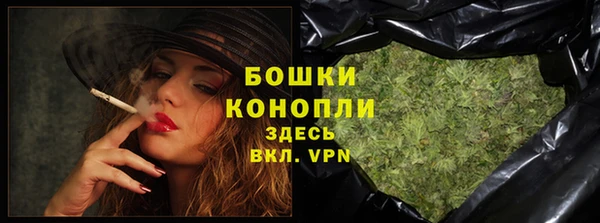 крисы Богородицк