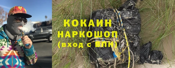 крисы Богородицк