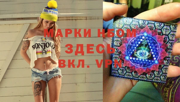 ECSTASY Белокуриха