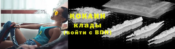 крисы Богородицк