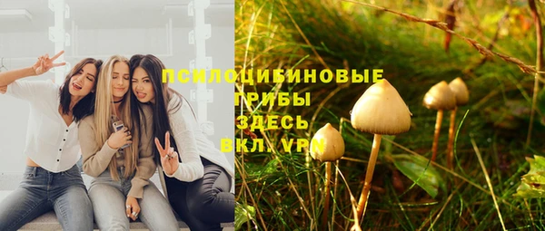 прущие крисы Белоозёрский