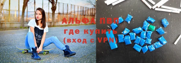 ECSTASY Белокуриха