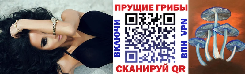 Псилоцибиновые грибы Magic Shrooms  Бобров 
